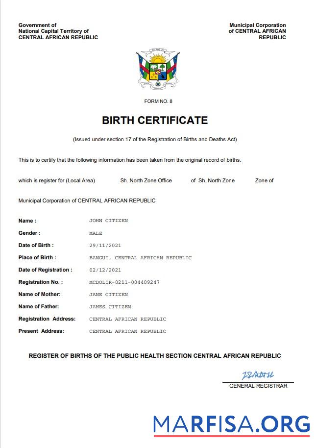 Blank Central African Republic vital record birth certificate Word and PDF template